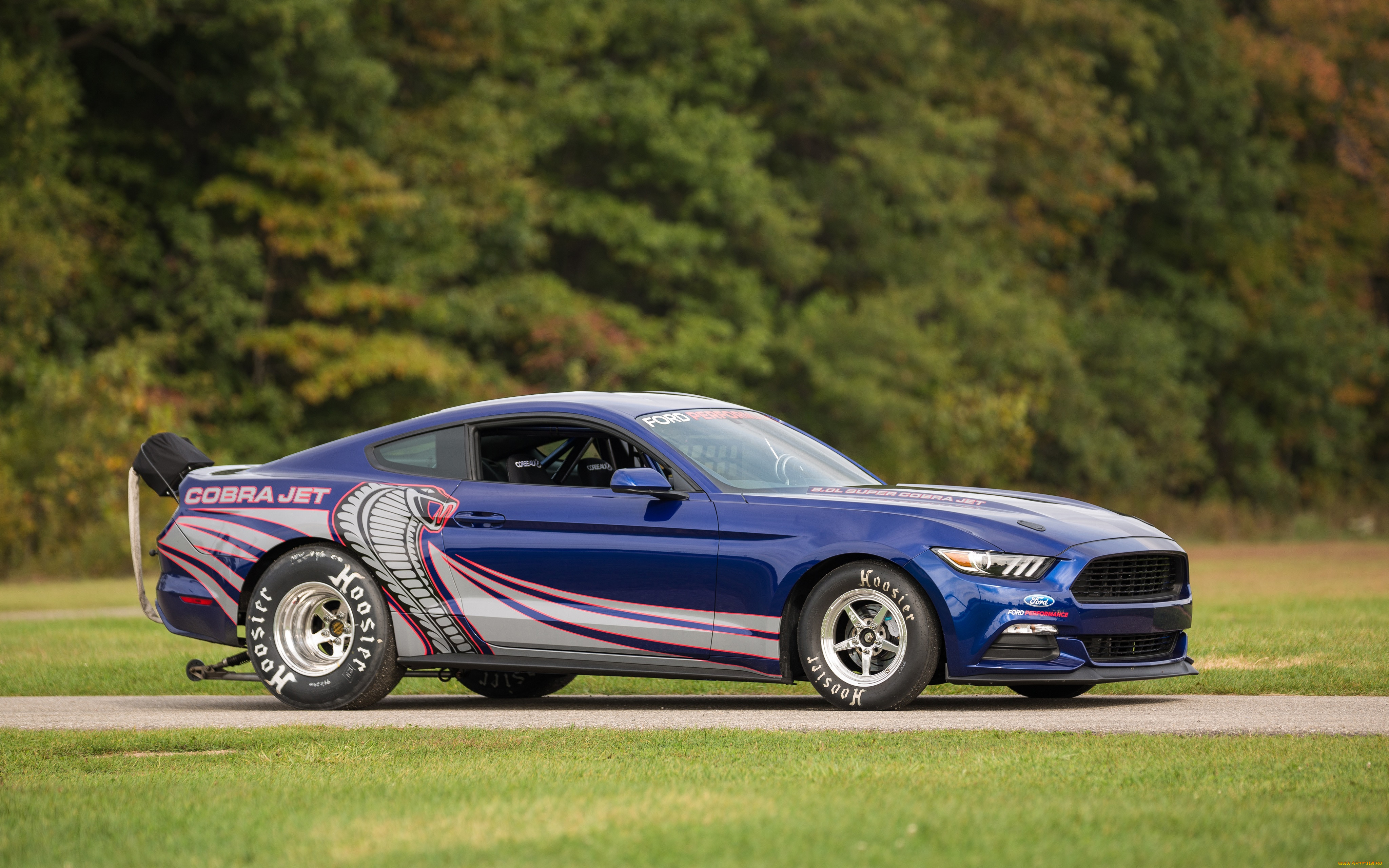 , mustang, 2016, ford, cobra, jet, drag, car